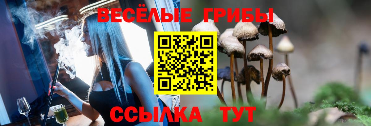 Великий Новгород  Галлюциногенные грибы Cubensis  Вход с VPN 